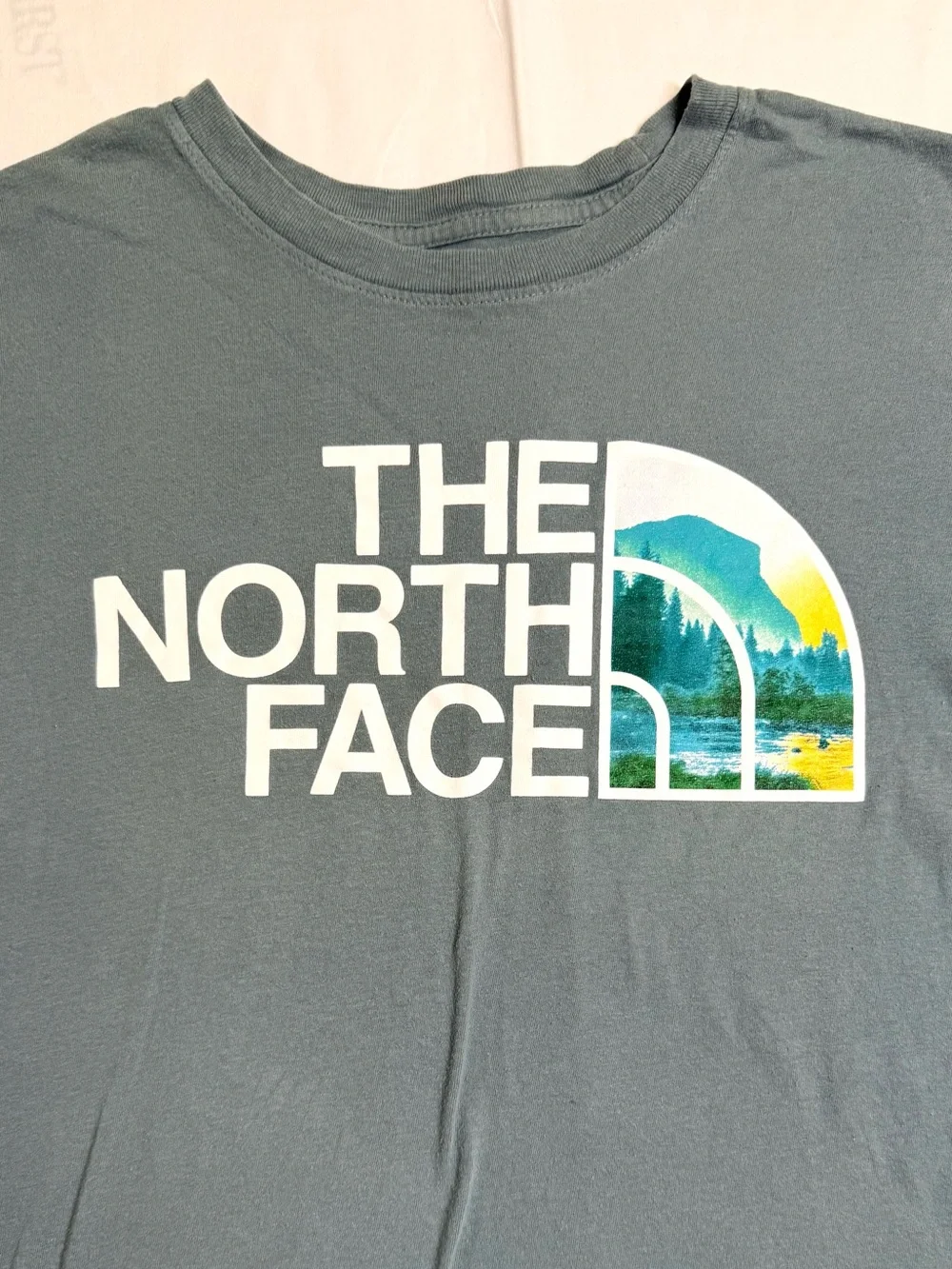 The North Face north face